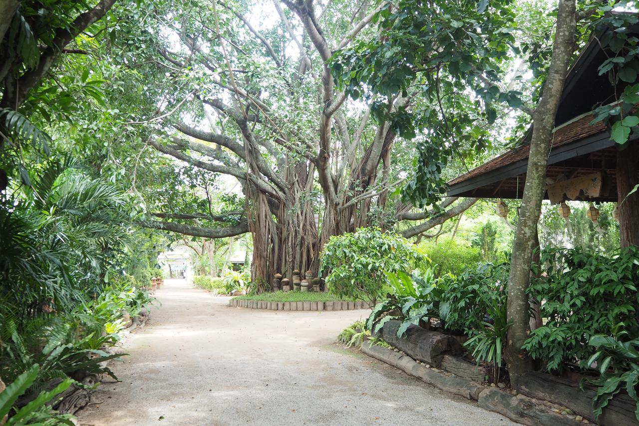 Khum Khun Wang Resort Mae Wang Dış mekan fotoğraf